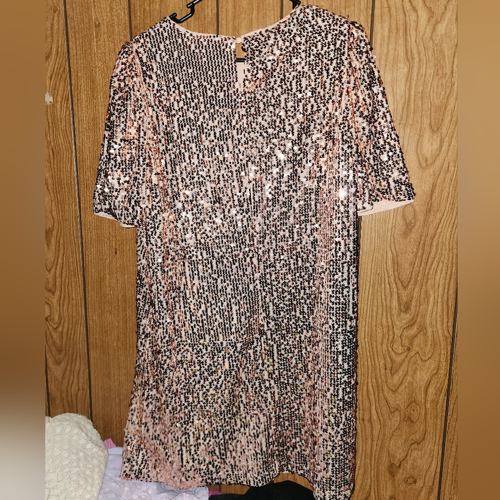 NWOT Vine & Love Shimmering Champagne Pink Sequin Dress Size L - Picture 2 of 3